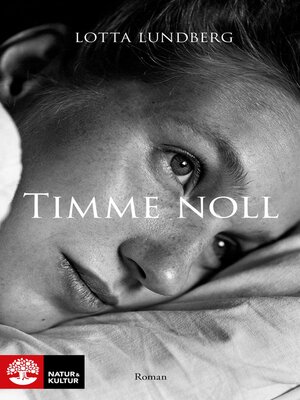 cover image of Timme noll